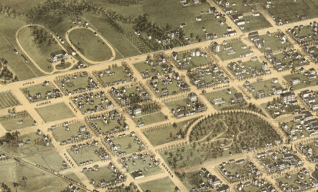 Bird's Eye View of Columbia, SC - 1872