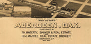 Bird's Eye View of Aberdeen, SC. 1883