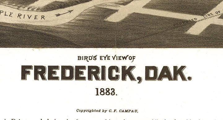 Bird&