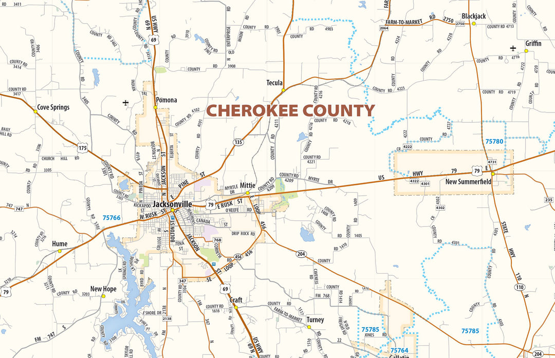 Tyler, Longview &amp; Marshall Tx. Wall Map
