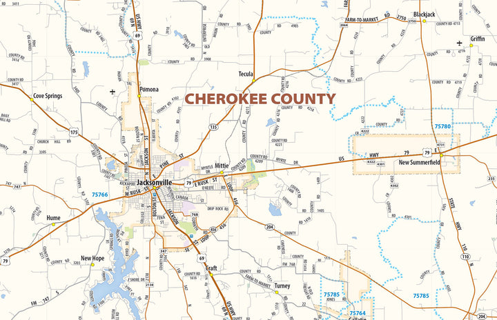 Tyler, Longview &amp; Marshall Tx. Wall Map