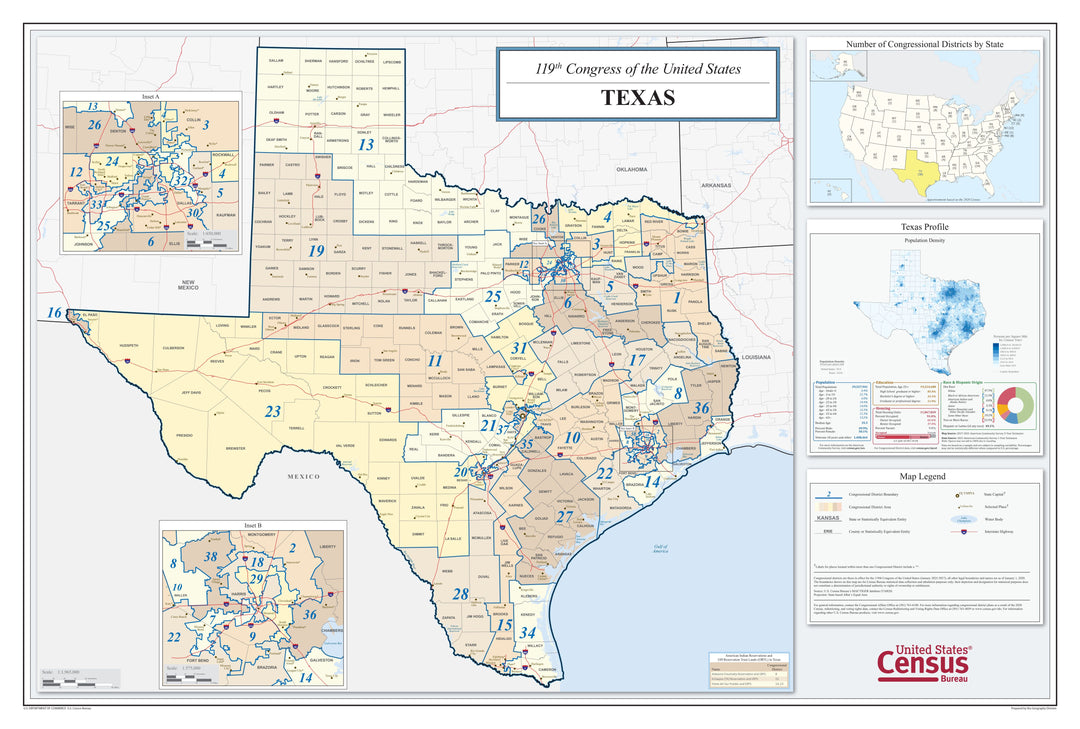Texas Congressional District Wall Map