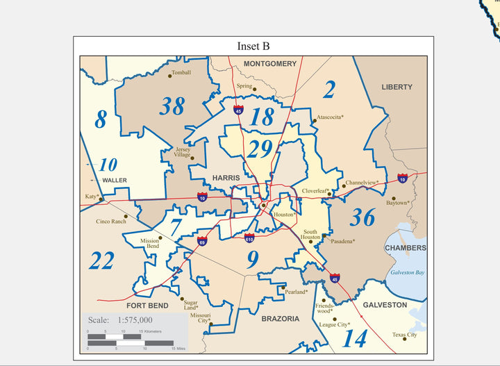 Texas Congressional District Wall Map