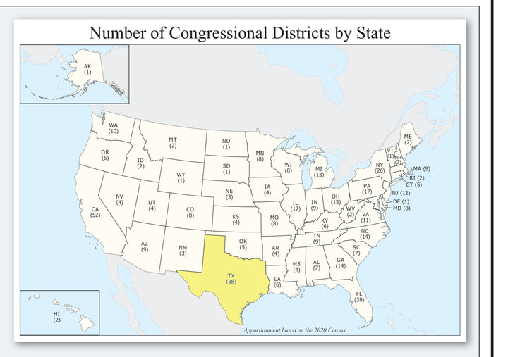 Texas Congressional District Wall Map