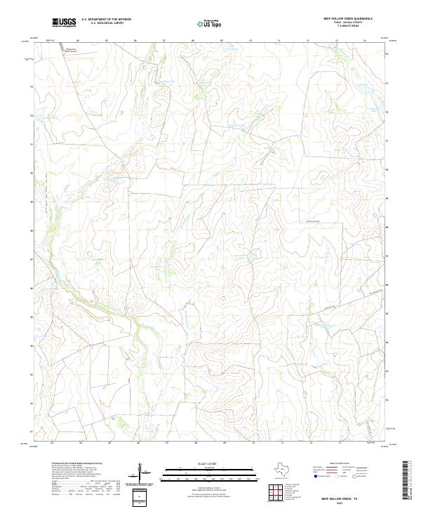US Topo 7.5-minute map for Beef Hollow Creek TX