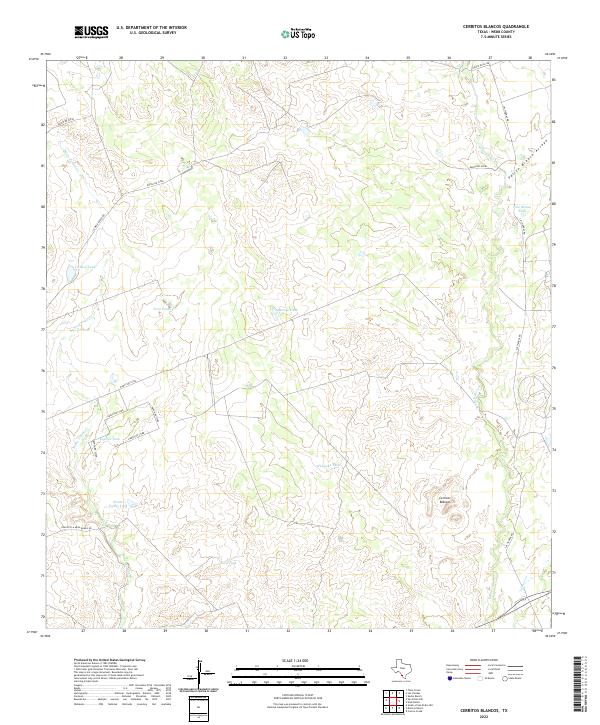 US Topo 7.5-minute map for Cerritos Blancos TX