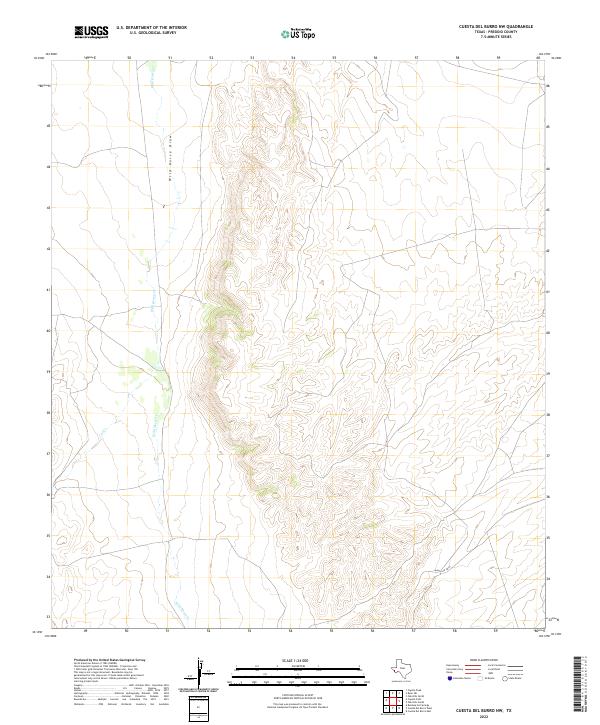 US Topo 7.5-minute map for Cuesta Del Burro NW TX