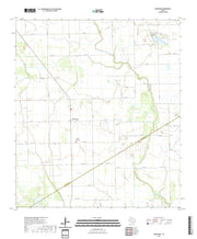 US Topo 7.5-minute map for Danevang TX