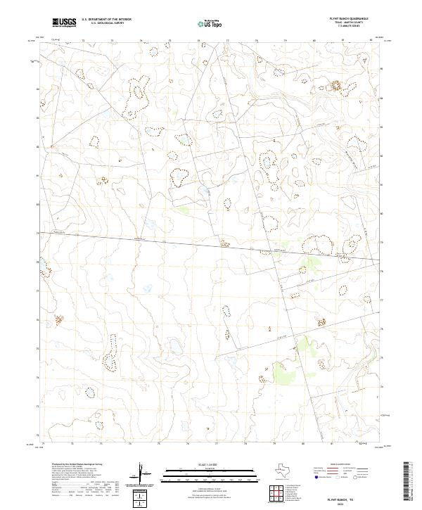 US Topo 7.5-minute map for Flynt Ranch TX