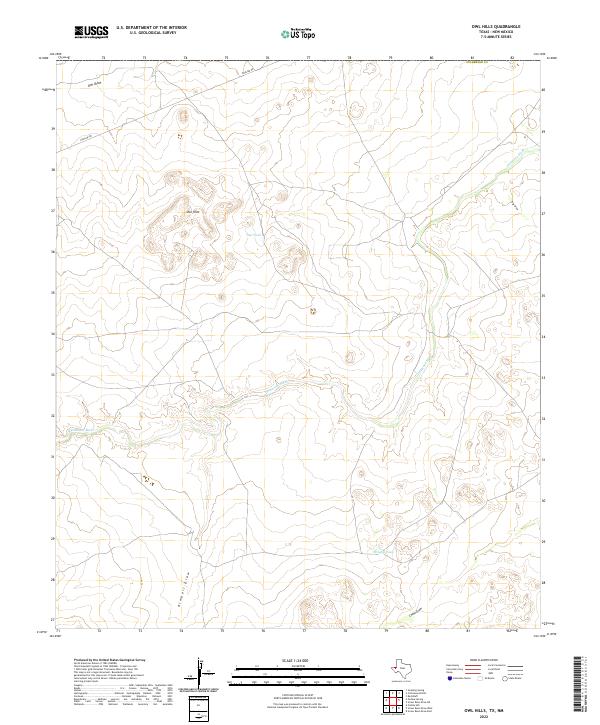 US Topo 7.5-minute map for Owl Hills TXNM