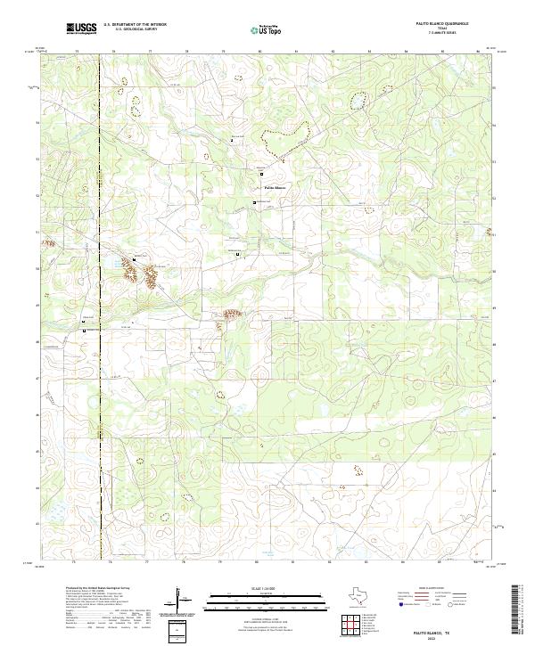 US Topo 7.5-minute map for Palito Blanco TX