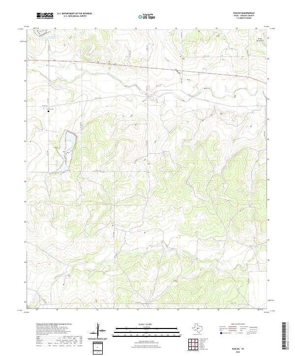 US Topo 7.5-minute map for Pasche TX