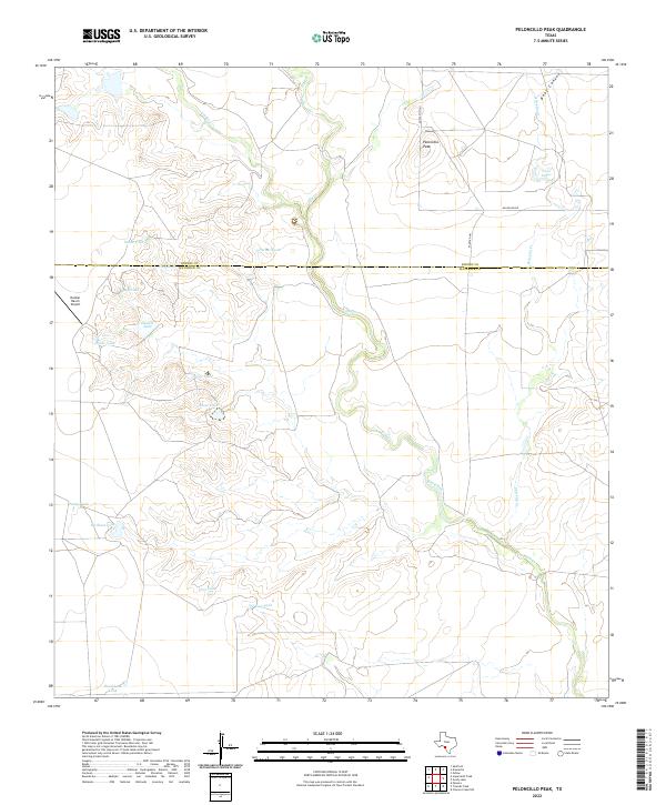 US Topo 7.5-minute map for Peloncillo Peak TX