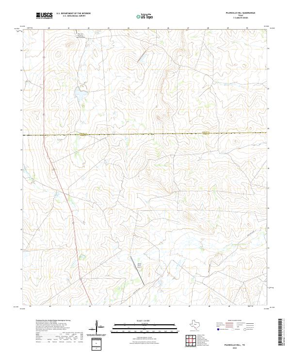 US Topo 7.5-minute map for Piloncillo Hill TX