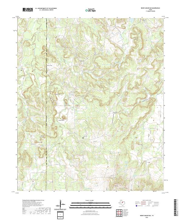 US Topo 7.5-minute map for Reddy Mountain TX