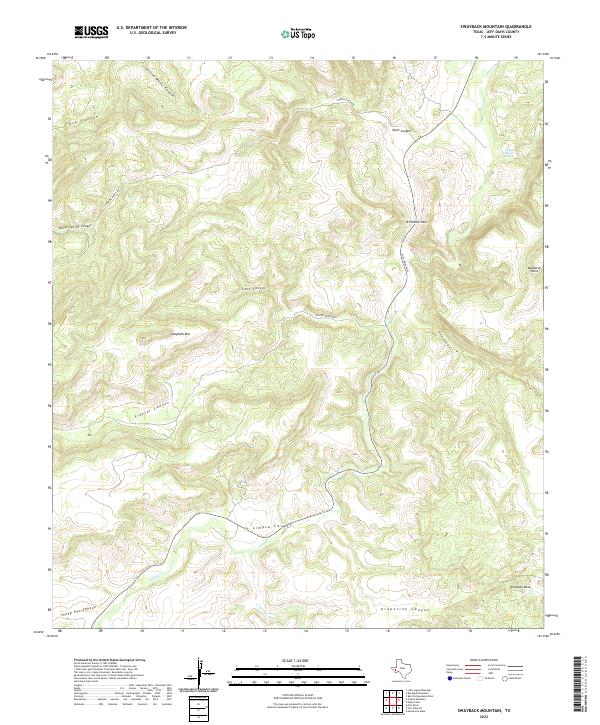 US Topo 7.5-minute map for Swayback Mountain TX