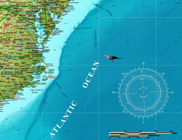 USA Decorators Wall Map, Gulf of America Edition