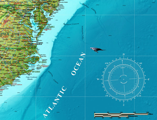 USA Decorators Wall Map, Gulf of America Edition