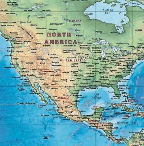 Decorative World Wall Map