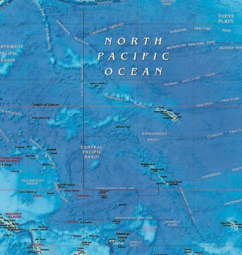 Decorative World Wall Map