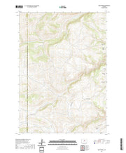 USGS US Topo 7.5-minute map for Turk Springs WY 2021