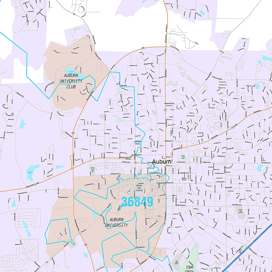 Premium Style Wall Map of Auburn, AL