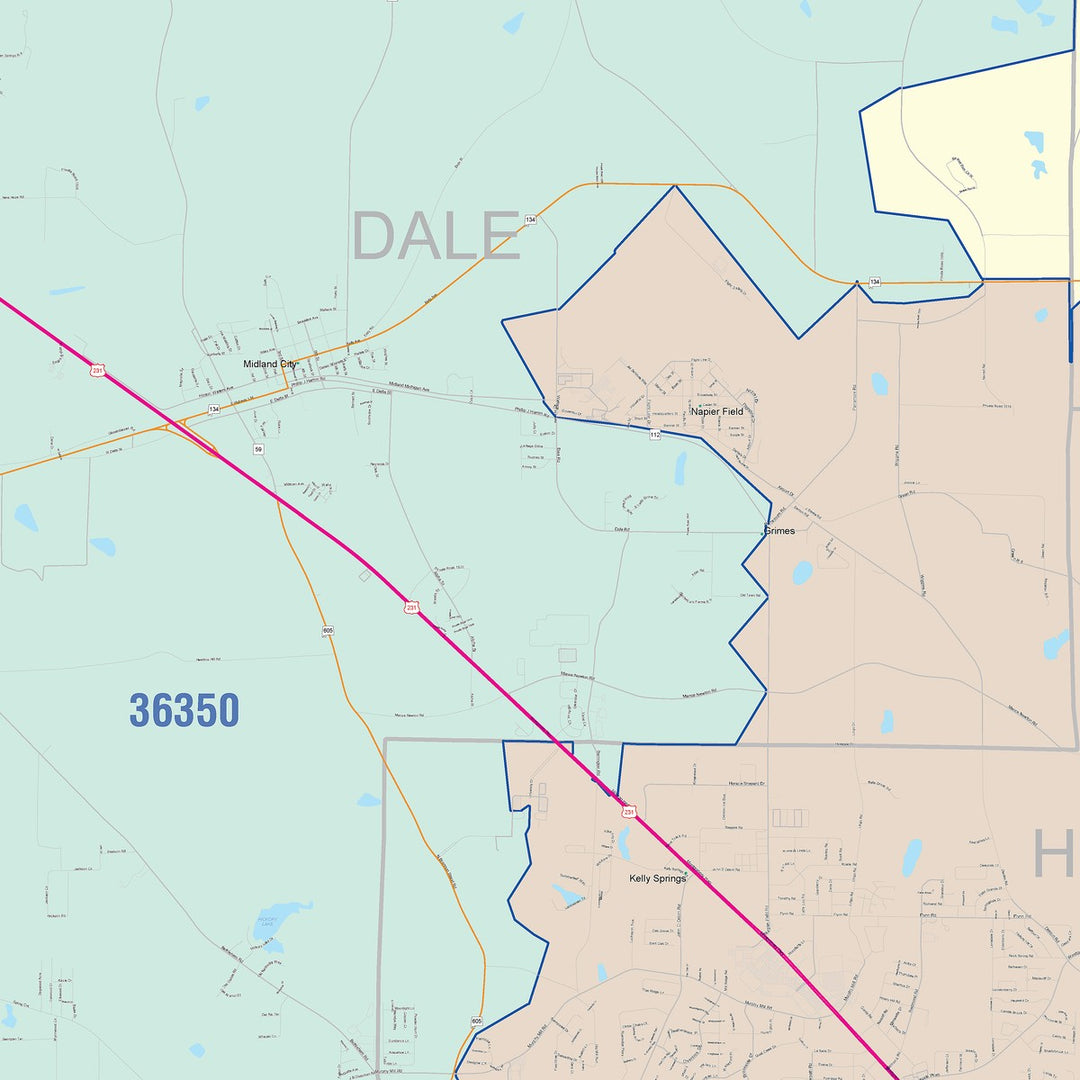 Color Cast Zip Code Style Wall Map of Dothan, AL