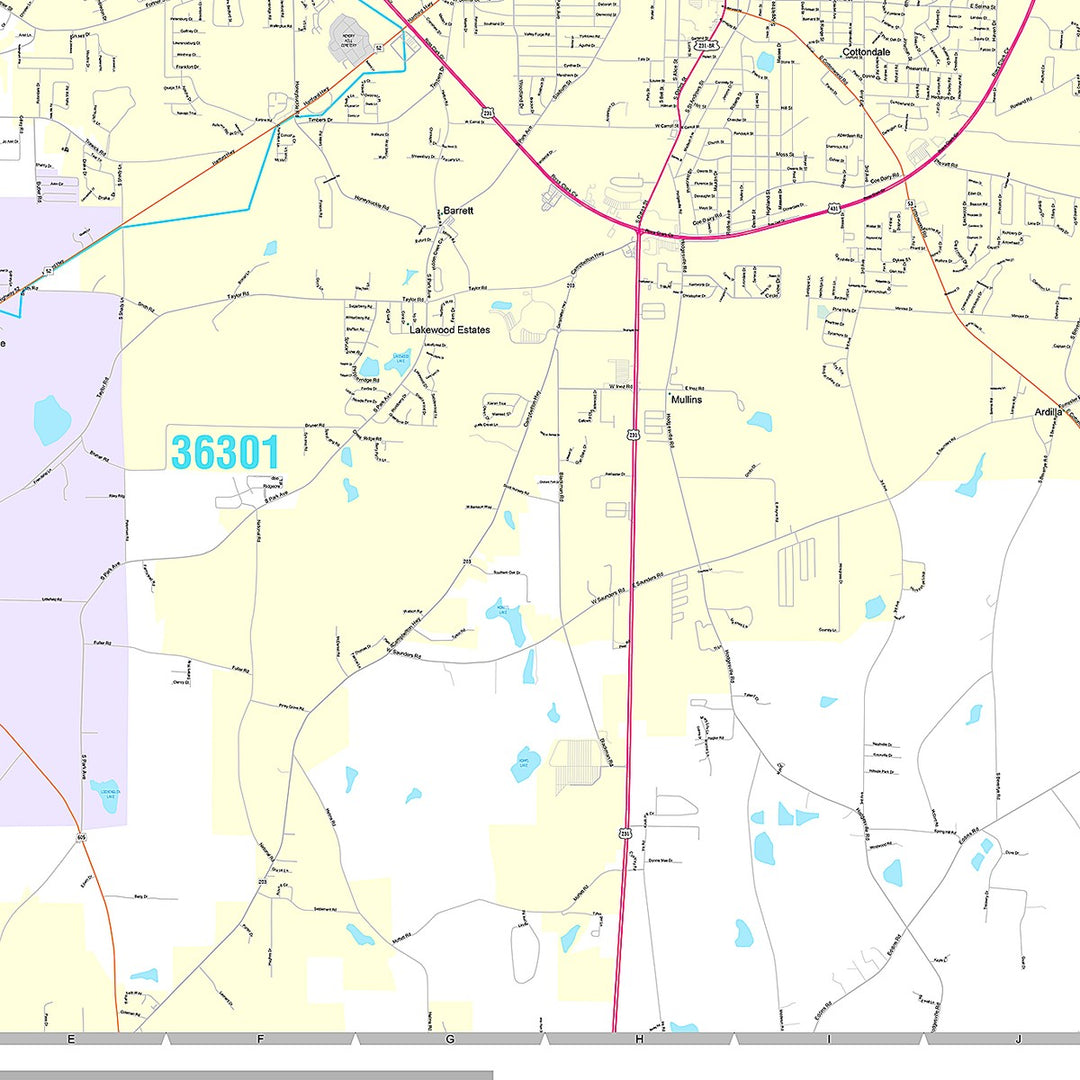 Premium Style Wall Map of Dothan, AL