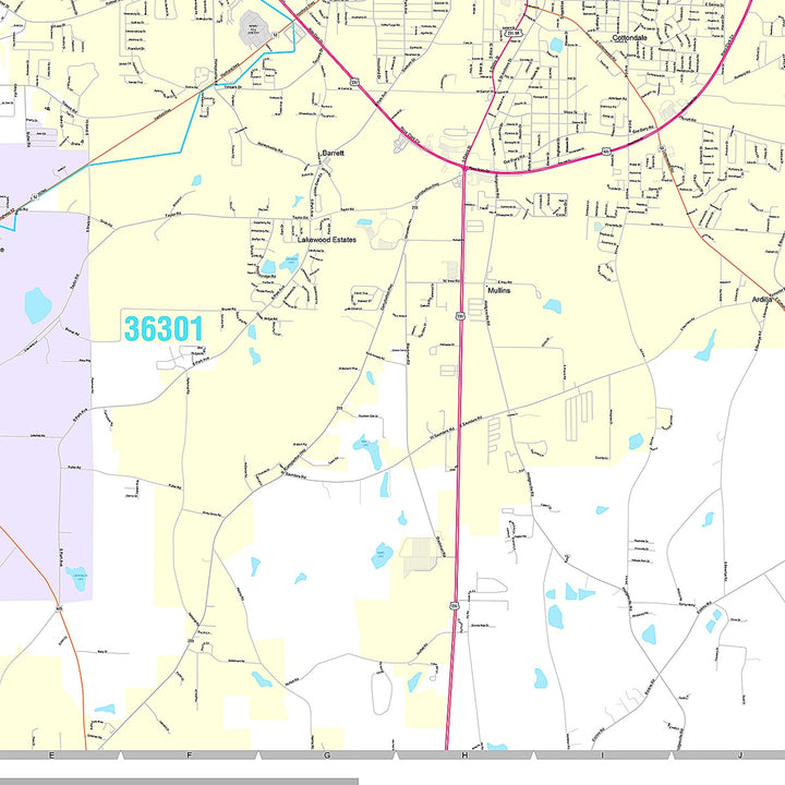 Premium Style Wall Map of Dothan, AL