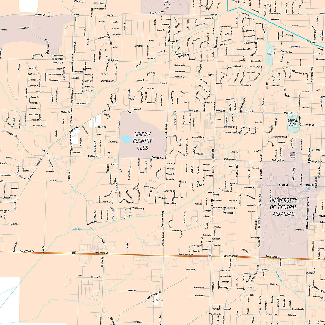 Premium Style Wall Map of Conway, AR