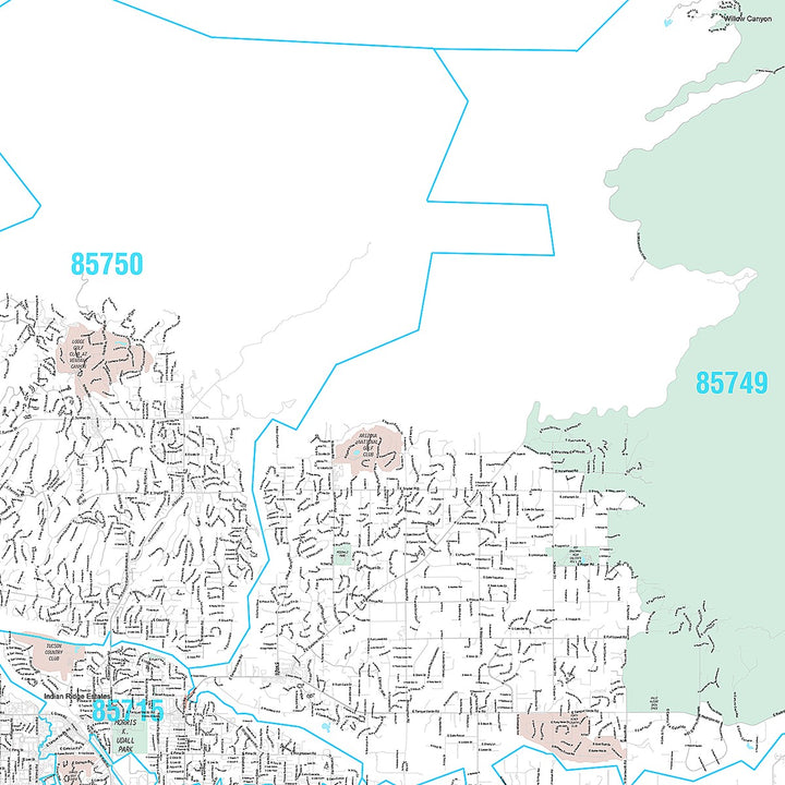 Premium Style Wall Map of Tucson AZ