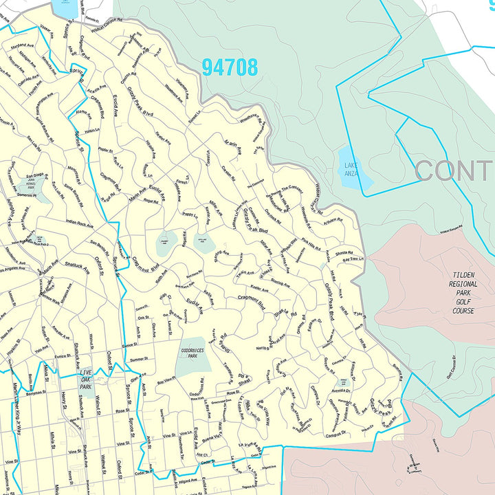 Premium Style Wall Map of Berkeley, CA