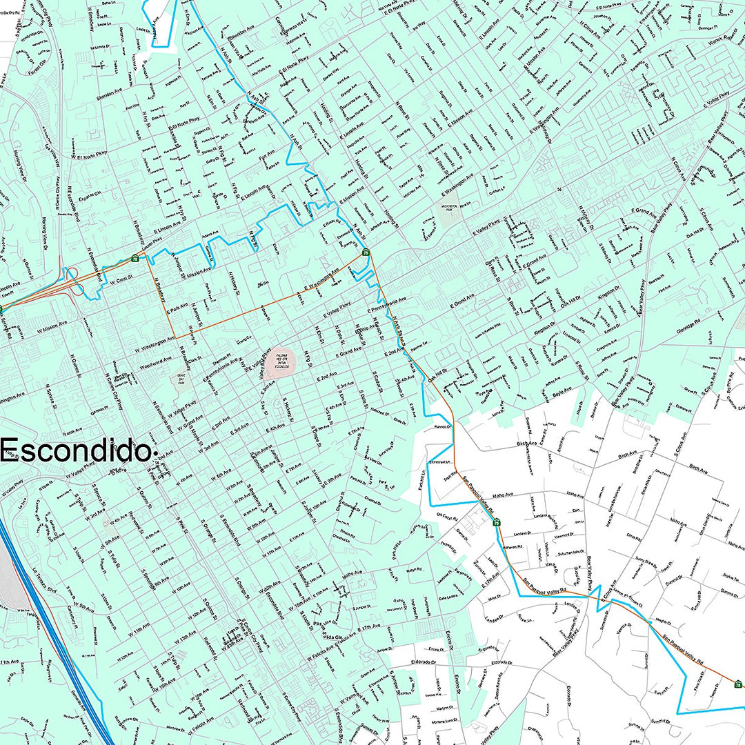 Premium Style Wall Map of Escondido, CA
