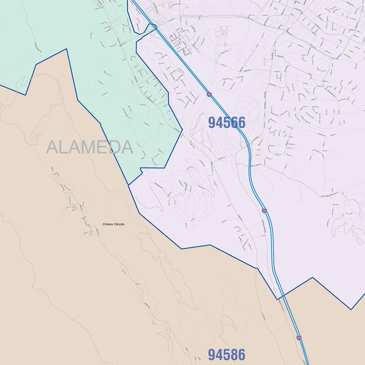 Color Cast Zip Code Style Wall Map of Pleasanton, CA