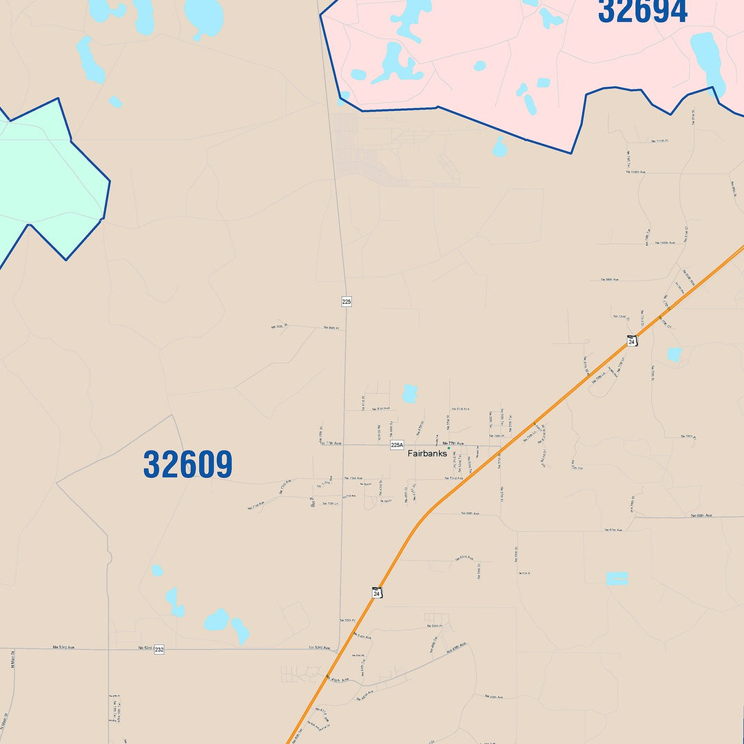 Zip Code 32641 Color Cast Zip Code Style Wall Map of Gainesville, FL – American Map Store