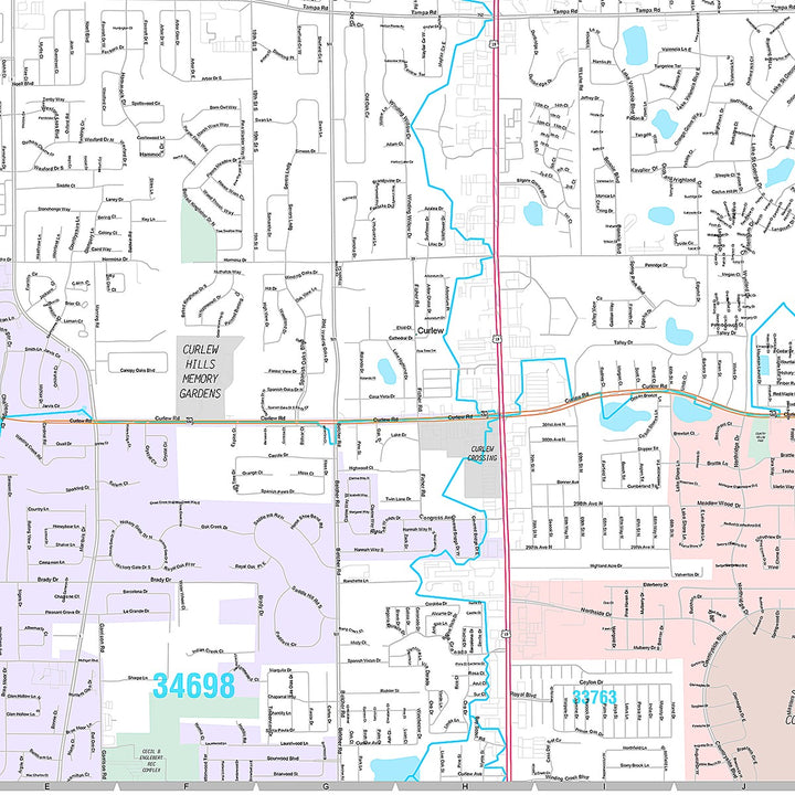 Premium Style Wall Map of Palm Harbor, FL