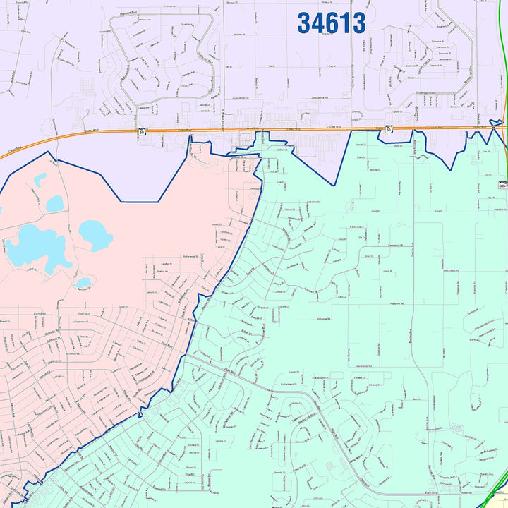 Color Cast Zip Code Style Wall Map of Spring Hill, FL