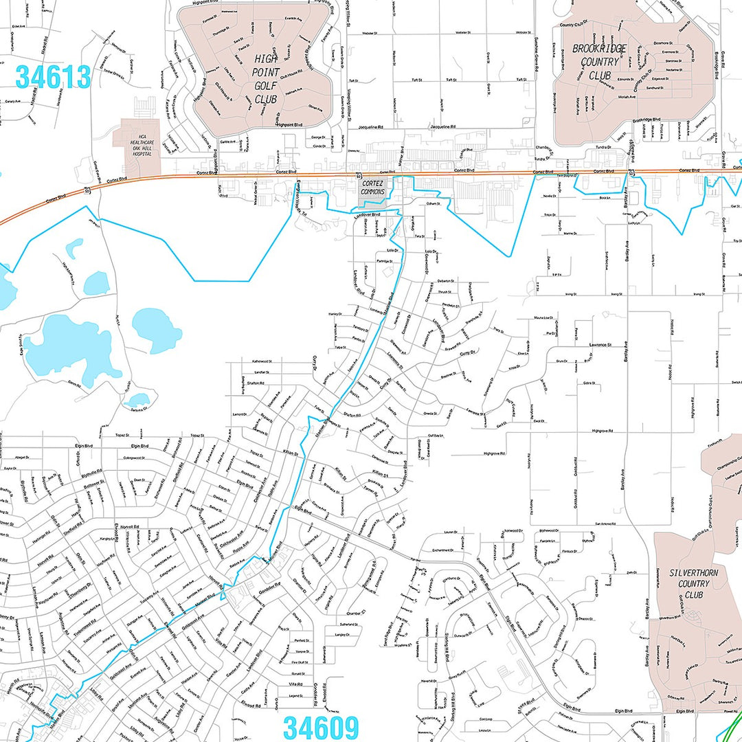 Premium Style Wall Map of Spring Hill, FL