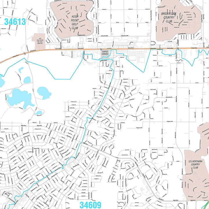 Premium Style Wall Map of Spring Hill, FL