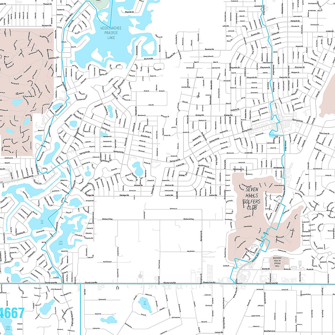 Premium Style Wall Map of Spring Hill, FL