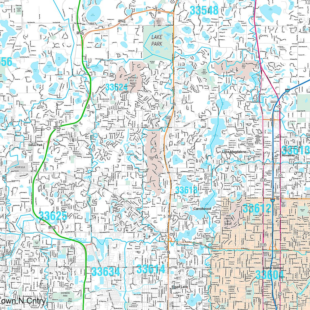 Premium Style Wall Map of Tampa FL.