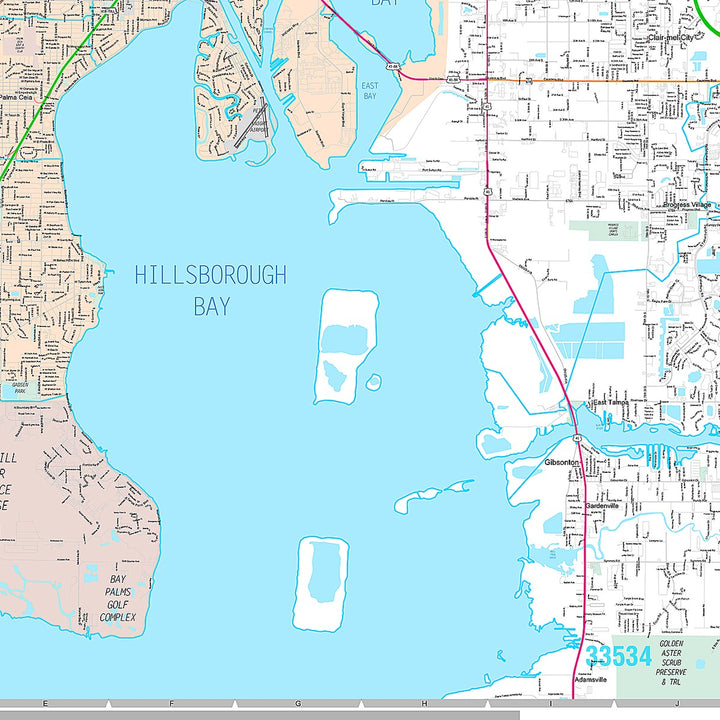Premium Style Wall Map of Tampa FL.