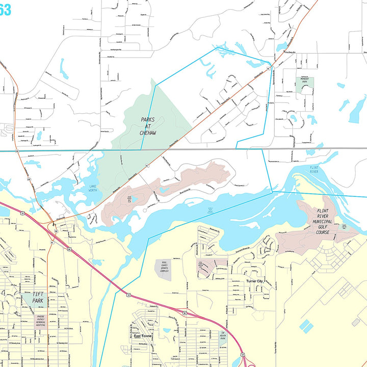 Premium Style Wall Map of Albany, GA