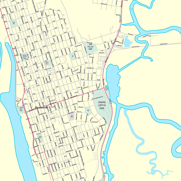 Premium Style Wall Map of Brunswick, GA