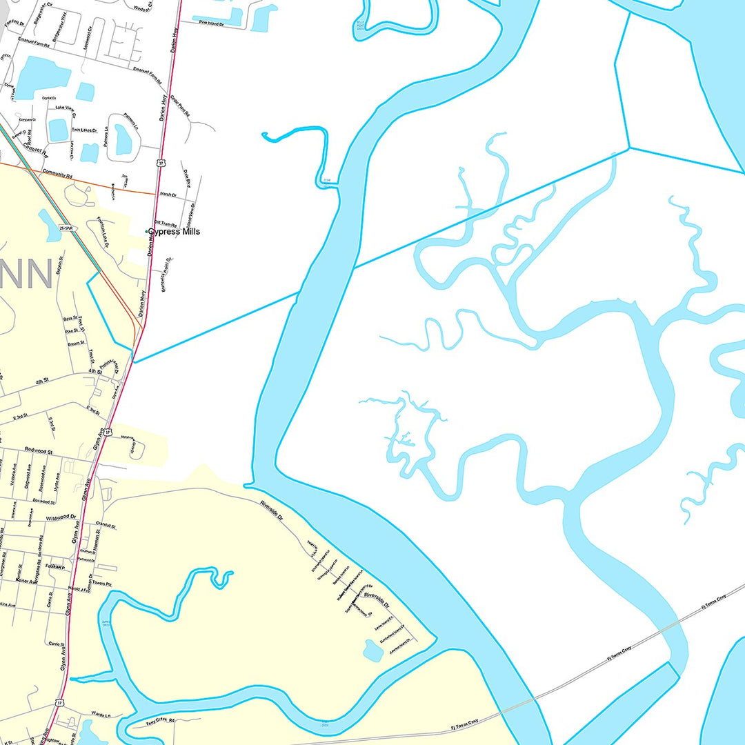 Premium Style Wall Map of Brunswick, GA