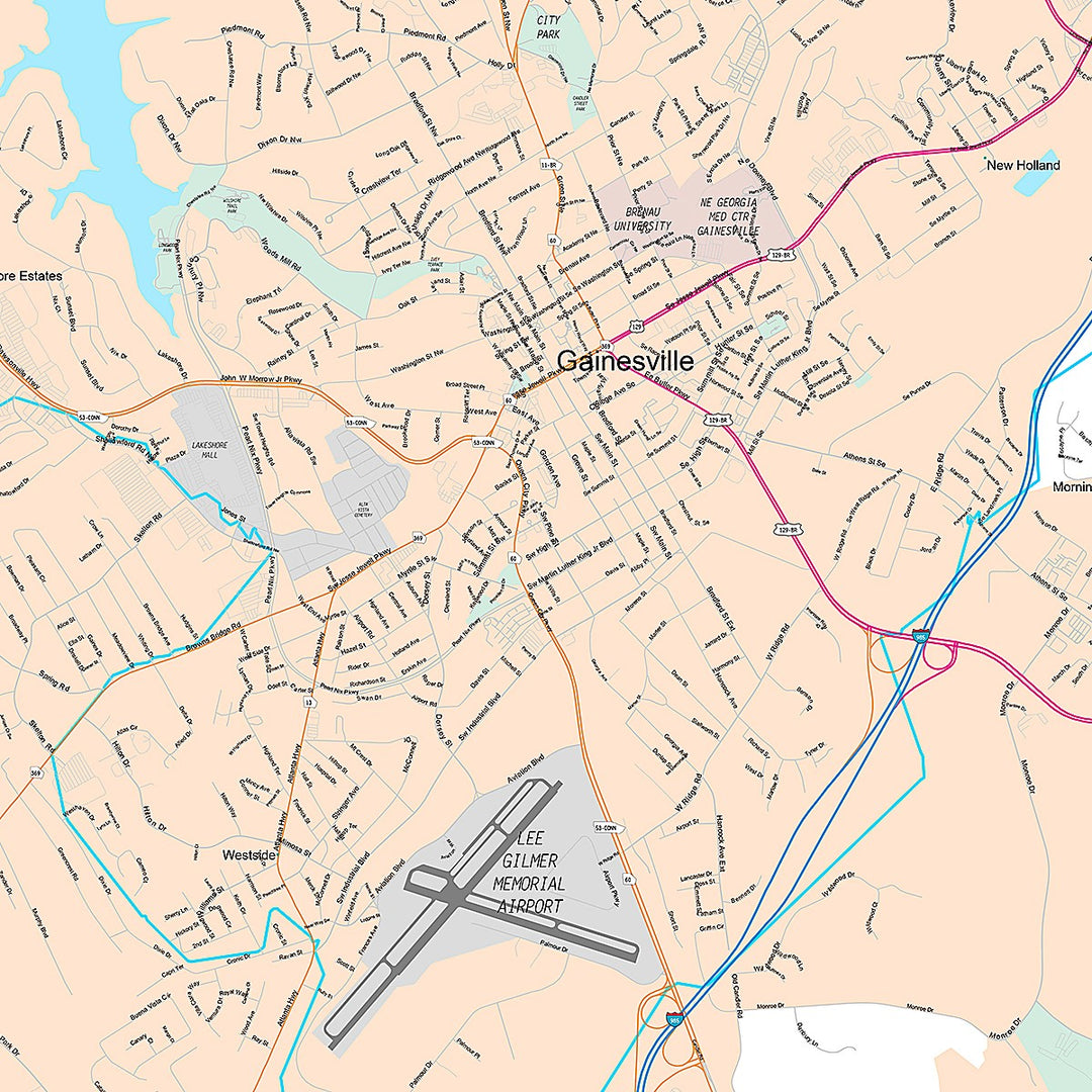 Premium Style Wall Map of Gainesville, GA