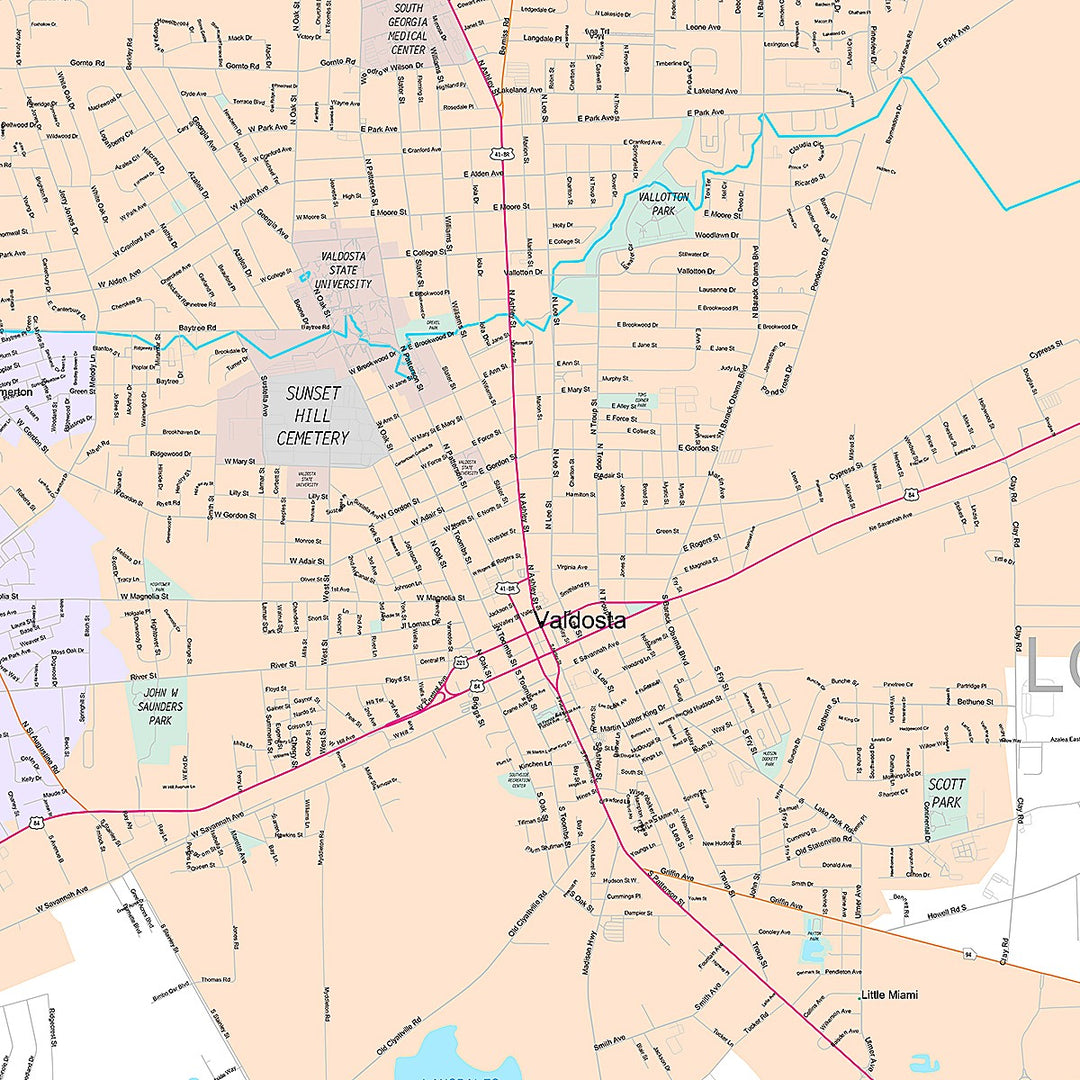 Premium Style Wall Map of Valdosta, GA