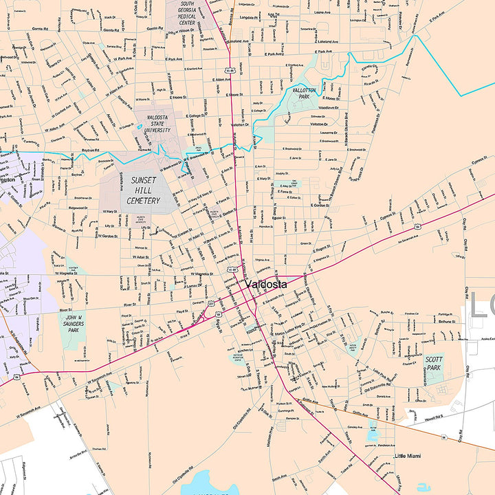 Premium Style Wall Map of Valdosta, GA