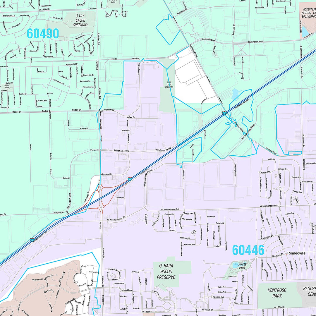 Premium Style Wall Map of Bolingbrook, IL