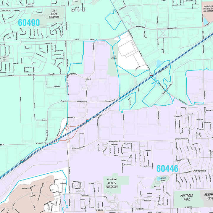 Premium Style Wall Map of Bolingbrook, IL